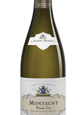 公寓 Le Loft Des Artistes - Repas & Vins Possibles Sur Demande 圣特萨维内